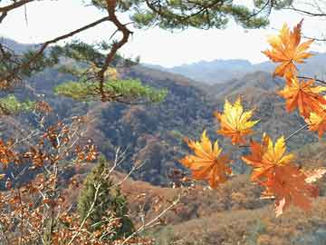 跨年片场花絮：神马电影观众口碑