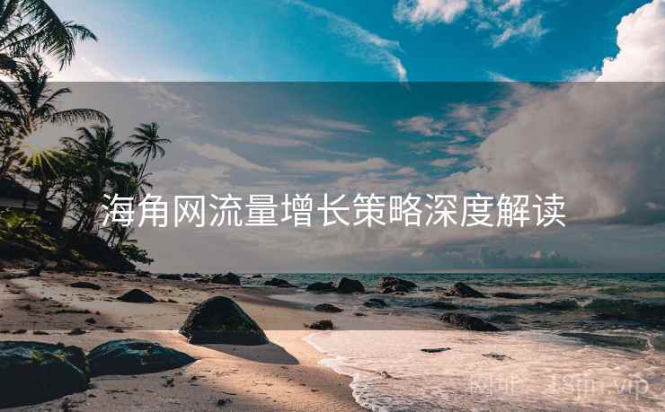 海角网流量增长策略深度解读