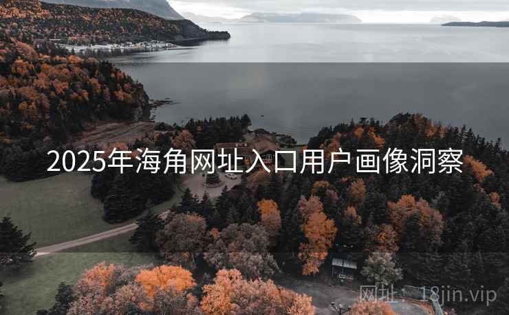 2025年海角网址入口用户画像洞察
