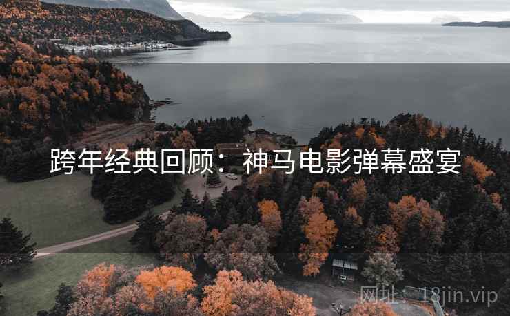 跨年经典回顾：神马电影弹幕盛宴