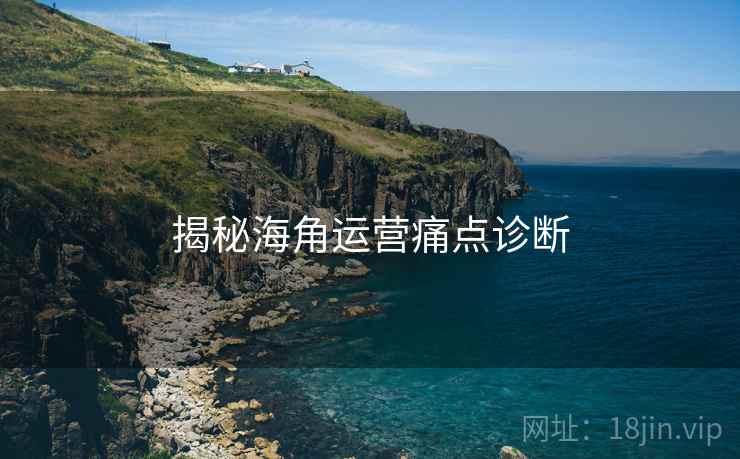 揭秘海角运营痛点诊断