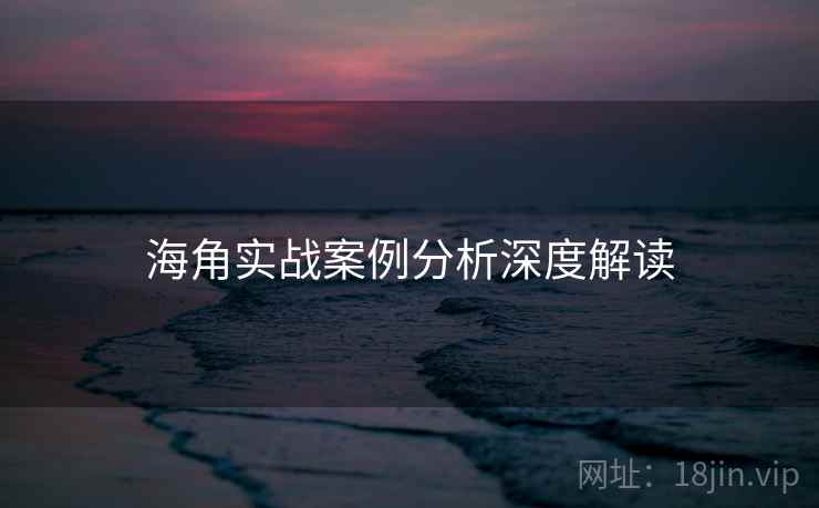 海角实战案例分析深度解读